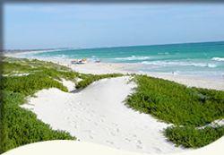 Trigg Retreat Bed And Breakfast - Accommodation Gold Coast 5