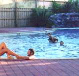 Shark Bay Caravan Park - Accommodation Gold Coast
