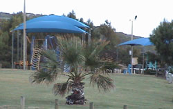 Horrocks Beach Caravan Park - Accommodation Gold Coast 5