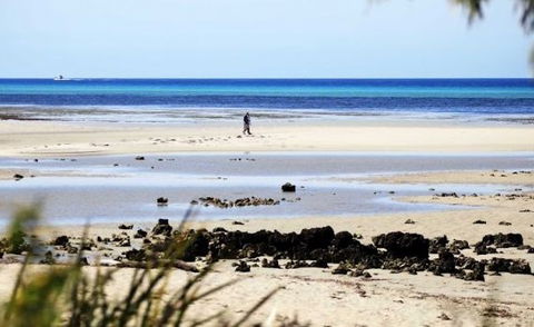 Halcyon Bay - Accommodation Gold Coast 5