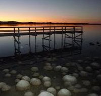 Lake Clifton Caravan Park - Gold Coast 4U
