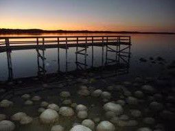 Lake Clifton Caravan Park - Accommodation Gold Coast 0