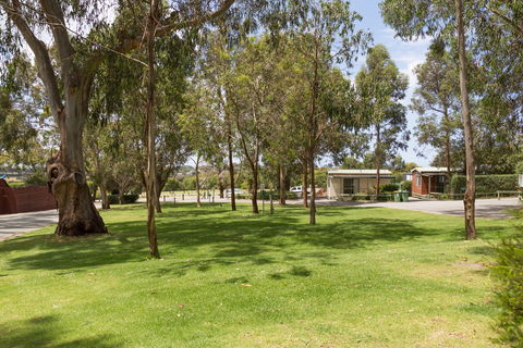 A Maze'N Things Holiday Park And Motel - Accommodation Gold Coast 0