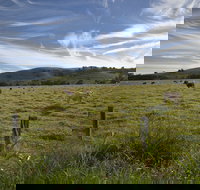 Annas Retreat - Accommodation Gold Coast