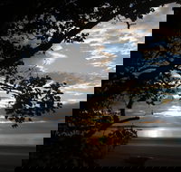 Armstrong Beach Caravan Park - Accommodation Gold Coast