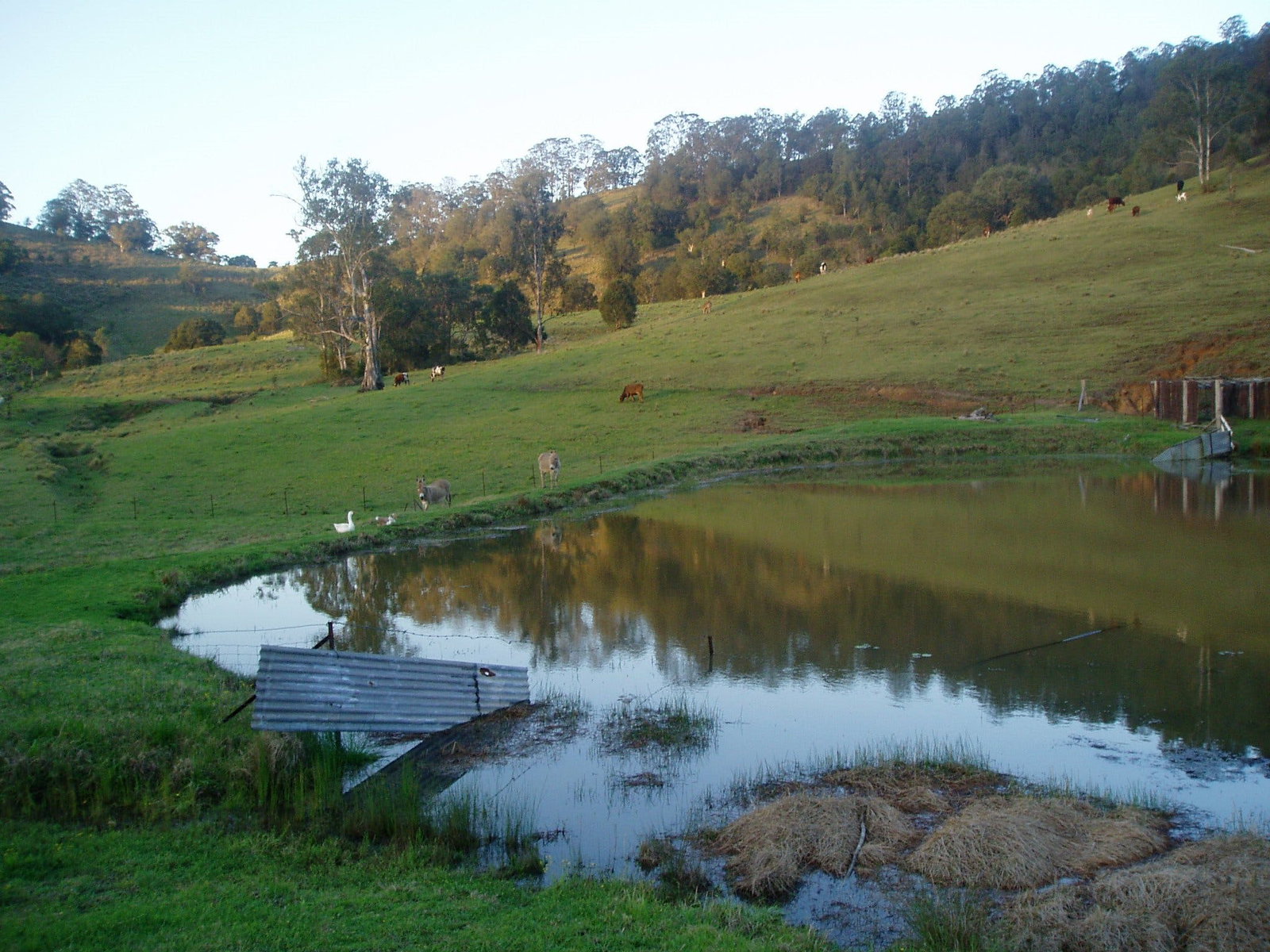 Bucca Wauka NSW Accommodation Gold Coast