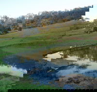 Barkeldine Farm Country Retreat - Gold Coast 4U