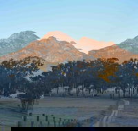 Barney Creek Vineyard Cottages - Accommodation Gold Coast