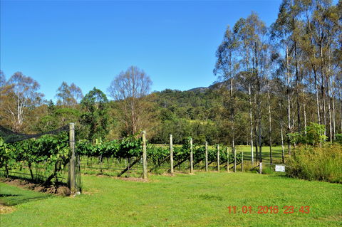 Barney Creek Vineyard Cottages - Accommodation Gold Coast 1