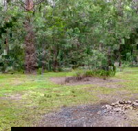 Blue Gum Flat campground - Accommodation Gold Coast