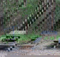 Boundary Falls campground and picnic area - Accommodation Gold Coast