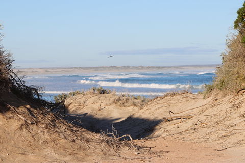 Chadinga Conservation Park Campground - Gold Coast 4U 0