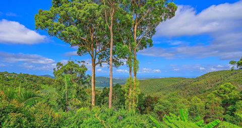 Cloud 9 Cliff Top Eagle Heights - Accommodation Gold Coast 1