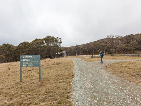 Cooinbil Hut Campground - Accommodation Gold Coast 0