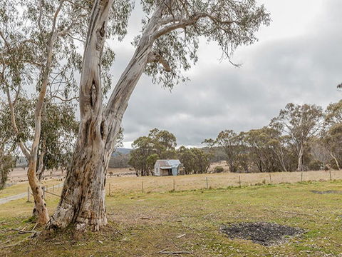 Cooinbil Hut Campground - Accommodation Gold Coast 2