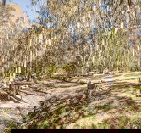 Coree campground - Accommodation Gold Coast