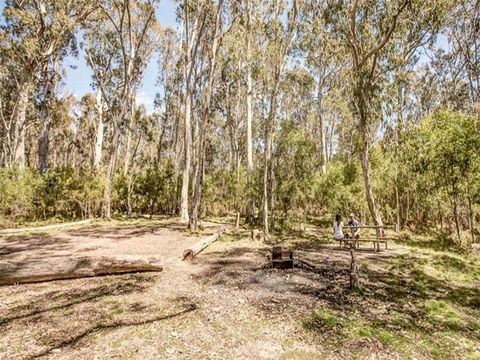 Coree Campground - Accommodation Gold Coast 1
