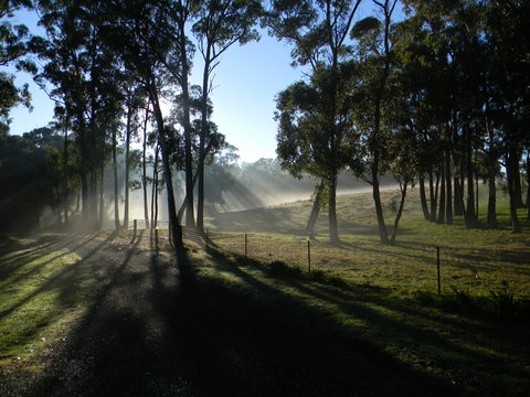Cygnet Park Country Retreat - Accommodation Gold Coast 2