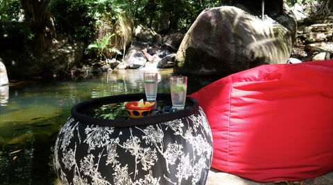 Daintree Secrets Rainforest Sanctuary - Accommodation Gold Coast 1
