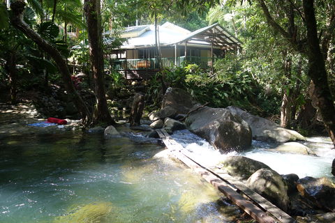 Daintree Secrets Rainforest Sanctuary - Accommodation Gold Coast 2