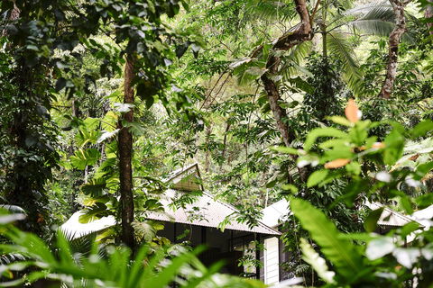 Daintree Ecolodge - Accommodation Gold Coast 0