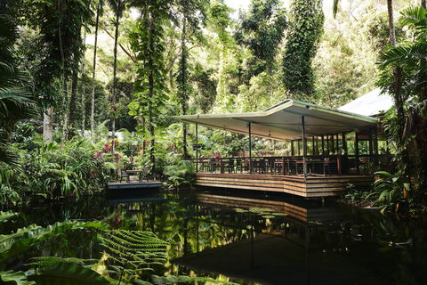 Daintree Ecolodge - Accommodation Gold Coast 1