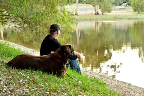 Diamond Forest Farm Stay - Accommodation Gold Coast 2