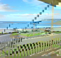 Dolphins 9 - Accommodation Gold Coast