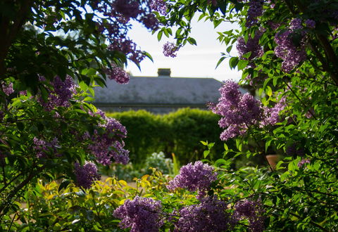 Eurambeen Historic Homestead And Gardens - 1 Gold Coast 1