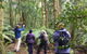 Forest Walks Lodge - Eco-Accommodation - thumb 1