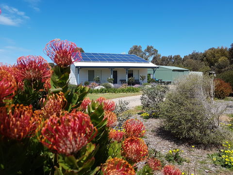 Frangipani Cottage - Accommodation Gold Coast 0