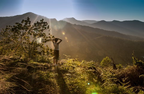 Gwinganna Lifestyle Retreat - Accommodation Gold Coast 0