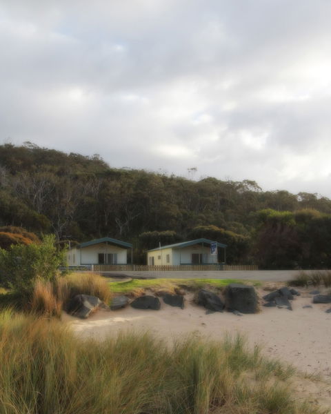 Kennett River Holiday Park - Accommodation Gold Coast 0