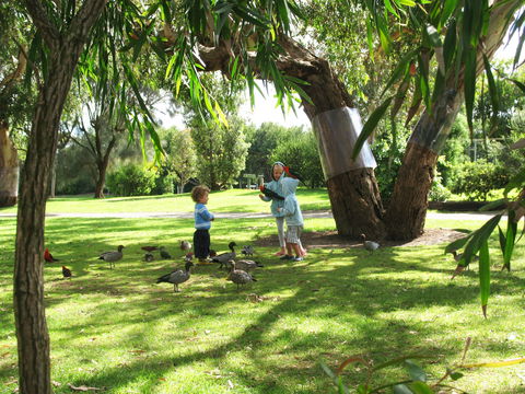 Kennett River Holiday Park - Accommodation Gold Coast 1