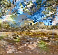 Kings Plains Creek campground - Accommodation Gold Coast