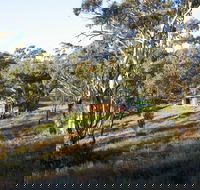 Molly's Chase - Accommodation Gold Coast