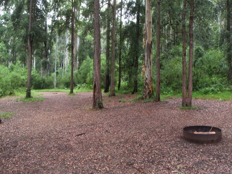 Murphys Glen Campground - Accommodation Gold Coast 0