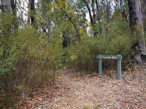 Murphys Glen Campground - Accommodation Gold Coast 2