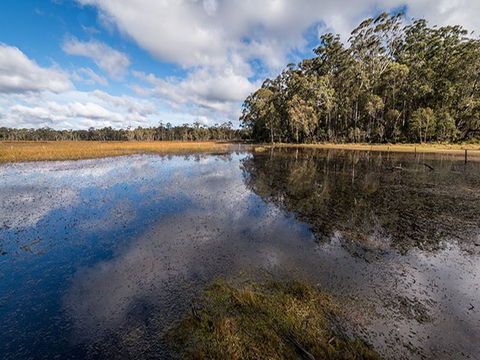 Nunnock Campground - Accommodation Gold Coast 2