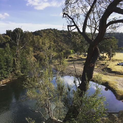 Paradise Valley Camping Park - Accommodation Gold Coast 2