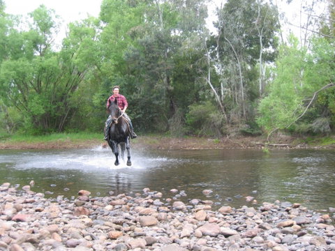 Ribbonwood Cottages - Accommodation Gold Coast 2