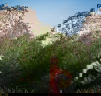 Sandstone Park Carnarvon Gorge - Accommodation Gold Coast