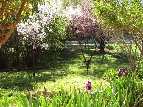 Sofala Cottage - Gold Coast 4U 0