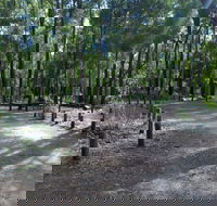 Stringers Camp at Lane Poole Reserve - Accommodation Gold Coast