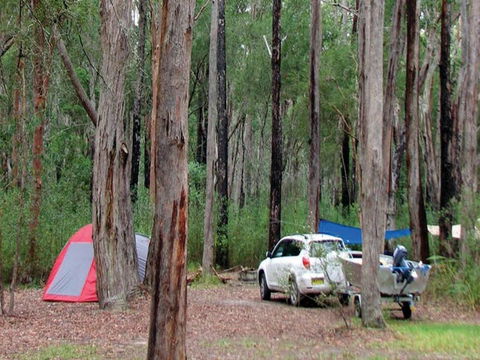 Wallingat River Campground - Accommodation Gold Coast 0