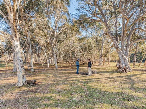 Wares Yards Campground - Accommodation Gold Coast 2