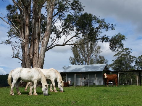 Woodenbong B And B - Accommodation Gold Coast 0