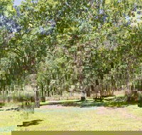 Youdales Hut campground and picnic area - Accommodation Gold Coast