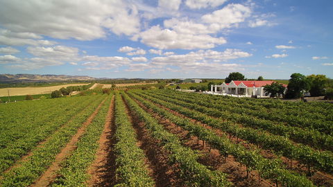 1837 Barossa Luxury Vineyard Cottages - Gold Coast 4U 0