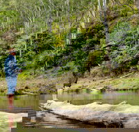 Bass Lodge - Accommodation Gold Coast